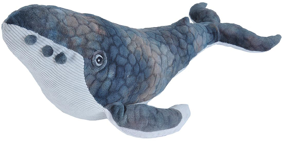 Knölval, 38cm - Wild Republic