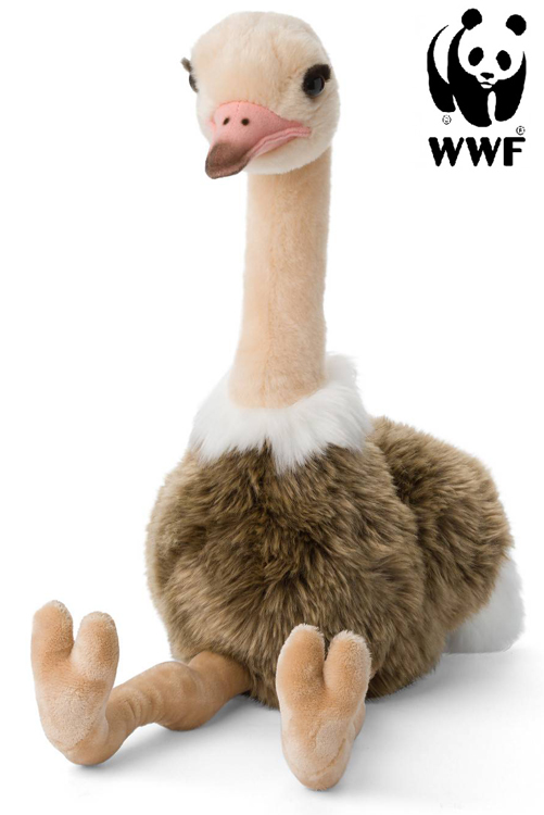 Struts - WWF (Världsnaturfonden)
